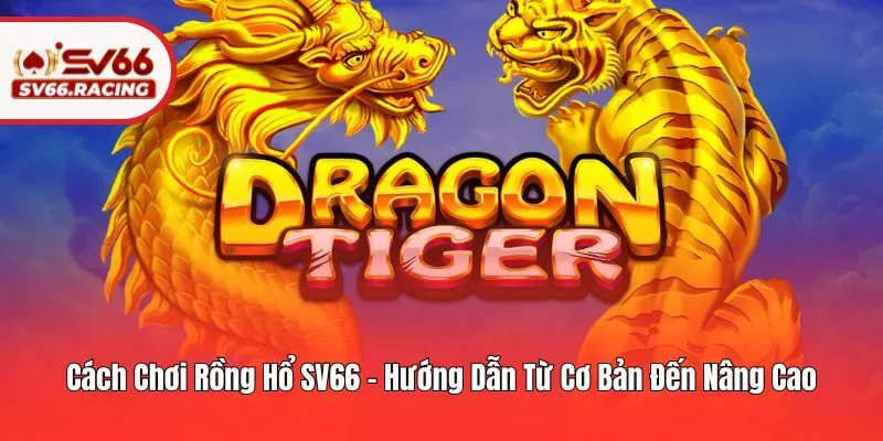 Cách Chơi Rồng Hổ SV66 - Hướng Dẫn Từ Cơ Bản Đến Nâng Cao